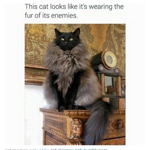 Meet your Posher, Arielle